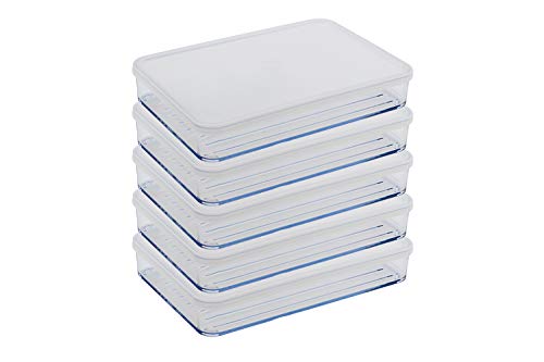 Silicook Flat Plastic Box for Kitchen for Kitchen&Refrigerator Organization Transparent Food Storage Container for Kitchen Fridge Freezer 5 Large