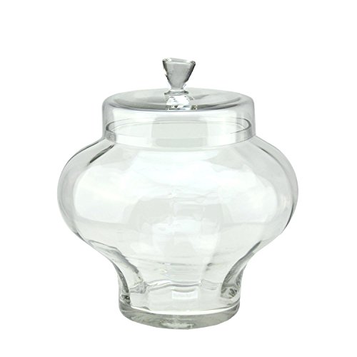 145 Transparent Segmented Glass Container with Lid