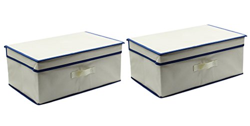 ESYLIFE Folding Closet Storage Box Containers with Lid 175 x 1175 x 75 inchSet 2