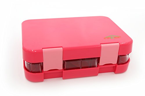 Bento Box 4 Section Tray with Removable Lunch Box For KidsAdults Tritan Safe Food Materials  Easy To Clean Lunch Storage Container 2 Buckles Salad Box Of Pink
