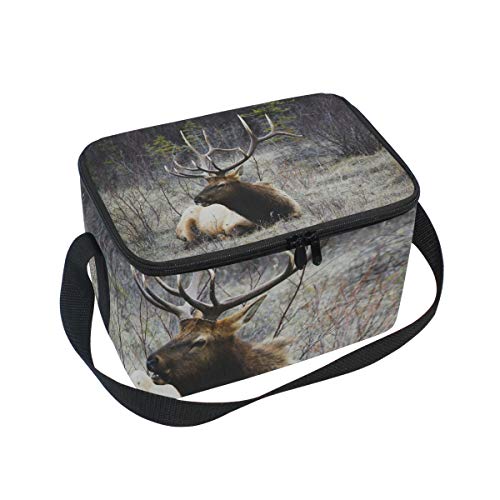 Wild Deer Buck Stag Horn Large Capacity Insulated Lunch Tote Bag Portable Travel Picnic School Handbag Cooler Warm Lunchbox for Kids Children Girls Boys Women Men