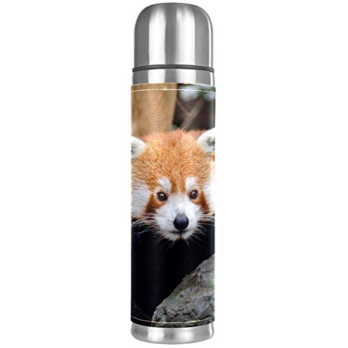 MUOOUM Vacuum Flask Stainless Steel 17 Oz Red Panda Cute Animal Insulated Travel Water Bottle Thermos