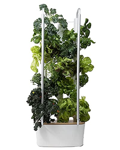 Gardyn Home 10  Indoor Vertical Garden  Smart Hydroponic Growing System with WiFi  30 Indoor Plants  Great for Vegetables Herbs Greens  Best Invention by Time Magazine